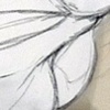 its just marks