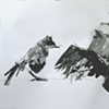 Two Birds