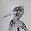 Mr. Bird