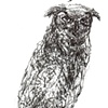 Owl 2