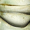 Tea Set