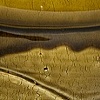 Jar