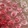American Beauty Rose (Detail)