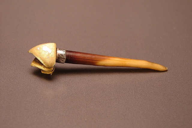 Porcupine quill, Gauge, earring tribal shell