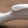 Carved Bone