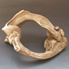 Bone collage