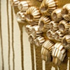 gold barnacle growths, detail