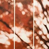 Red Maple Detail, No.3