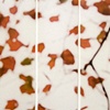 Sugar Maple Floaters (Red)