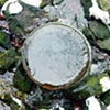 Dave Hebb
Wastewater Runoff Pipe #12