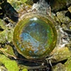 Dave Hebb
Wastewater Runoff Pipe #6