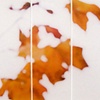 Sugar Maple Floaters (Orange), No.5