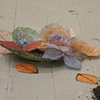 Jill Parisi