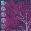Magenta Skies