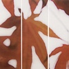Japanese Maple, No.6