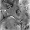 Deborah Zlotsky

Exterp