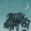 Elmtree Twilight