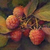Marilyn M. Belle-Isle	
