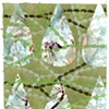Mid-Century Modern Seaweed