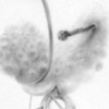 Deborah Zlotsky

Hillbitty DETAIL