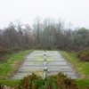 Dave Hebb
Irrigated Field #1