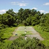 Dave Hebb
Irrigated Field #4