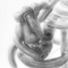 Deborah Zlotsky

Piquance DETAIL