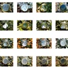 Dave Hebb
Wastewater Runoff Pipe:  full photo series
Composite view of 16 photographs from photographic series spanning 2006-2009. 