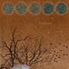 Corvus