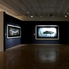 Aesthetics of Death - Installation view from the Memorial Art Gallery, Rochester, NY