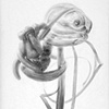 Deborah Zlotsky

Piquance