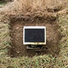 Dave Hebb
Monitor