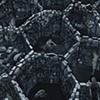 Cells 2