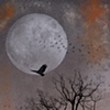 Moonlight Flight
