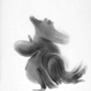 Deborah Zlotsky

Hintronautic