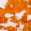 Sugar Maple Splash (Red/Orange)