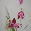 Spring IV