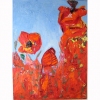 Poppies I