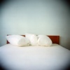 Pillow Talk