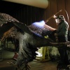 Eagle during patina application
