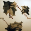  Intrinsic Tension 2