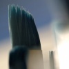 A Painter's Perspective