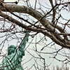 A Different View Of Liberty