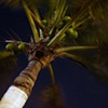 Cozumel, Mexico 2