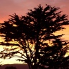 Sunset Over Stinson
