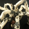 Spider-Pot 3