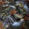 Streaming Long Exposure