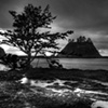La Push Washington