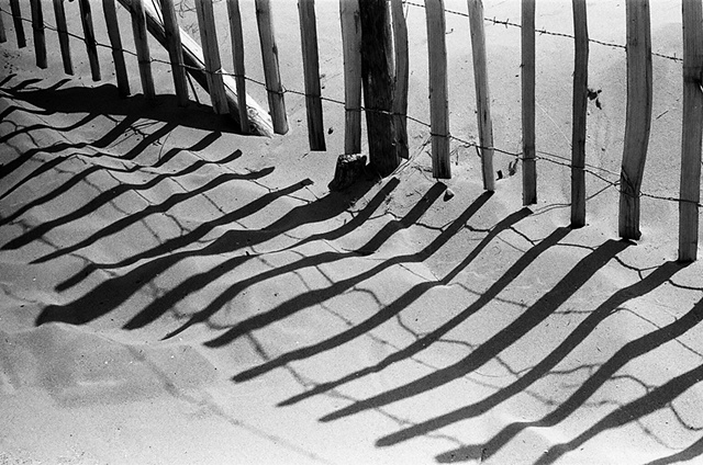 Dune Shadows