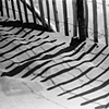 Dune Shadows